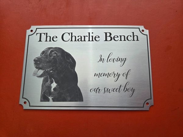 A silver metal plaque engraved with a black labrador's portrait and the words The Charlie Bench, in loving memory of our sweet boy.