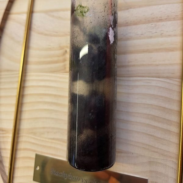 A close-up of a mounted specimen tube above its engraved brass name plate.